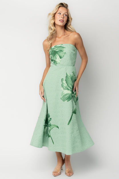 Baltic Born - Genesis Strapless Midi Dress