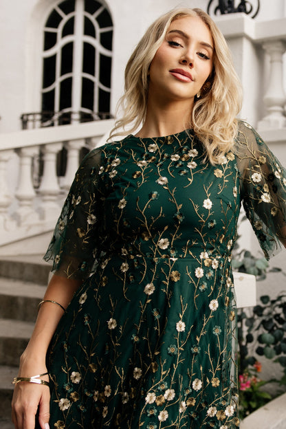 Baltic Born - Arabella Embroidered Tulle Maxi Dress