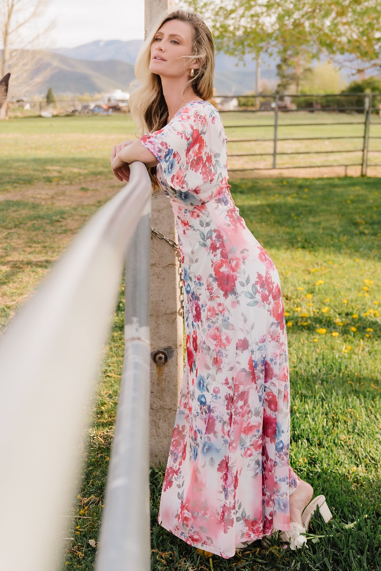 Baltic Born - Sevilla Mesh Maxi Dress