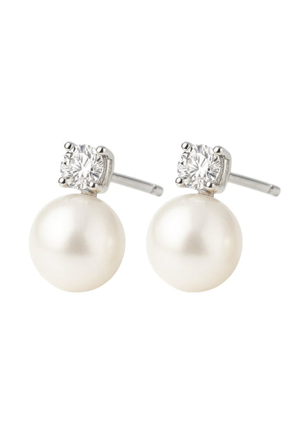 Baltic Born - The Molly Pearl Studs in Silver